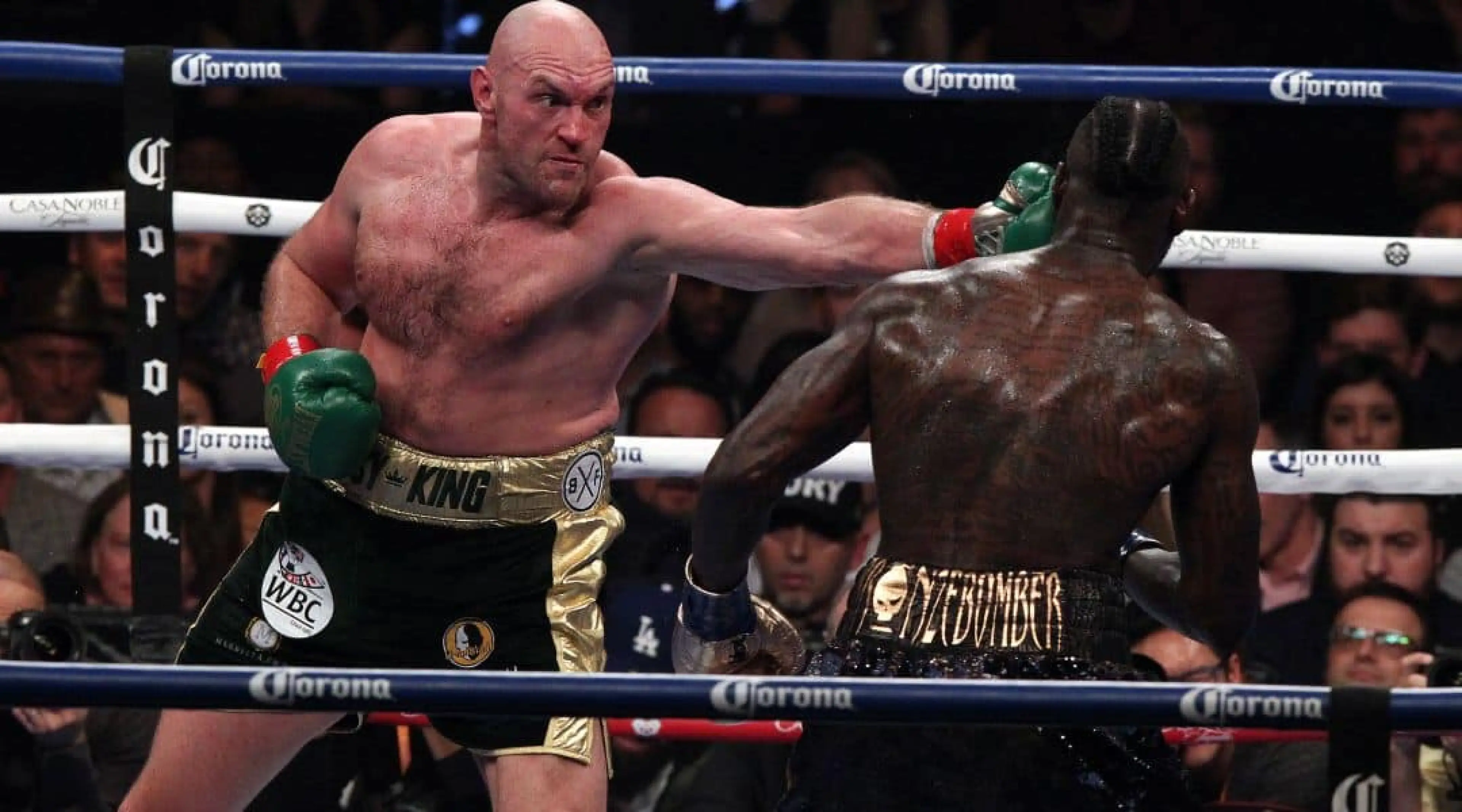 Wilder v Fury