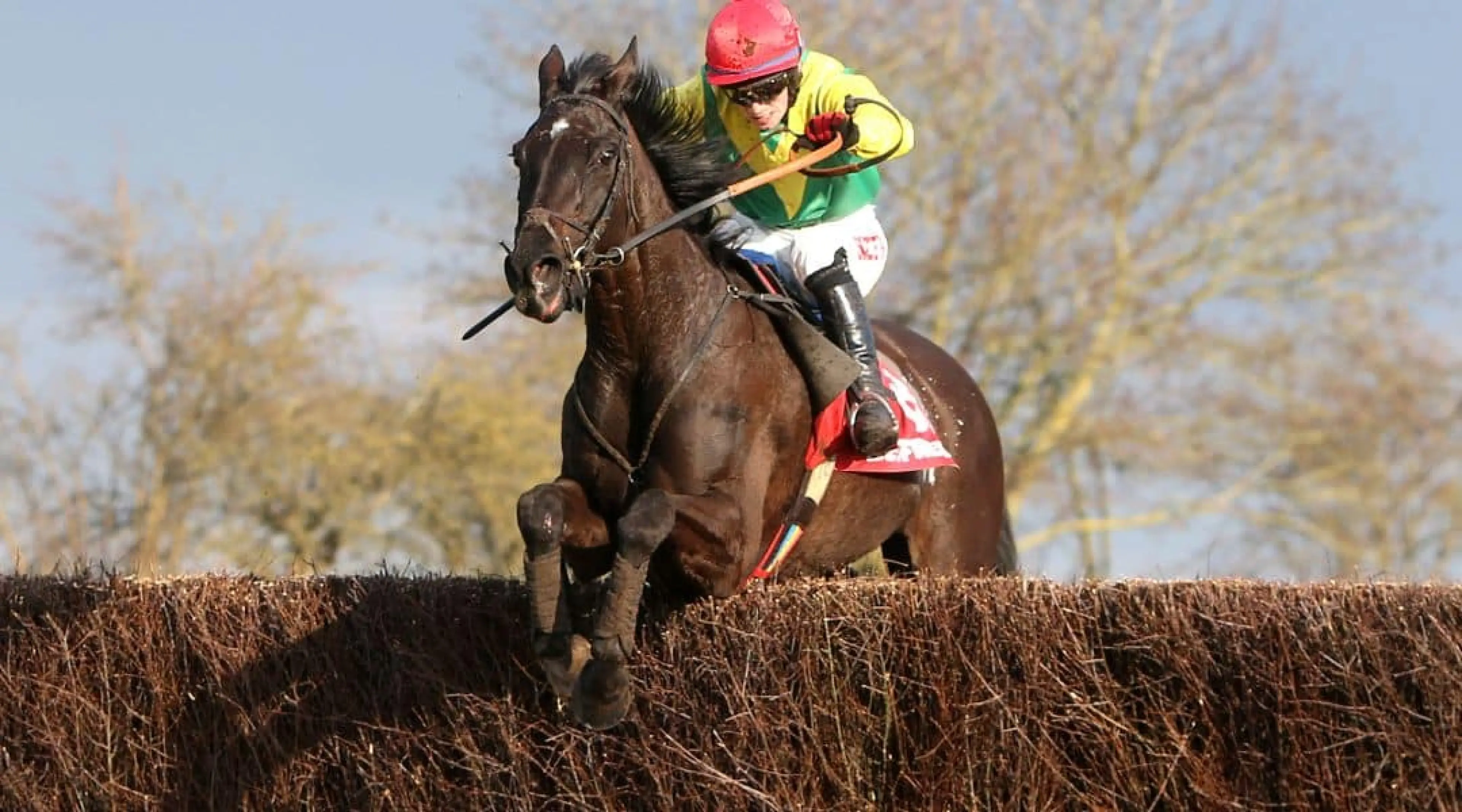 Midlands Grand National