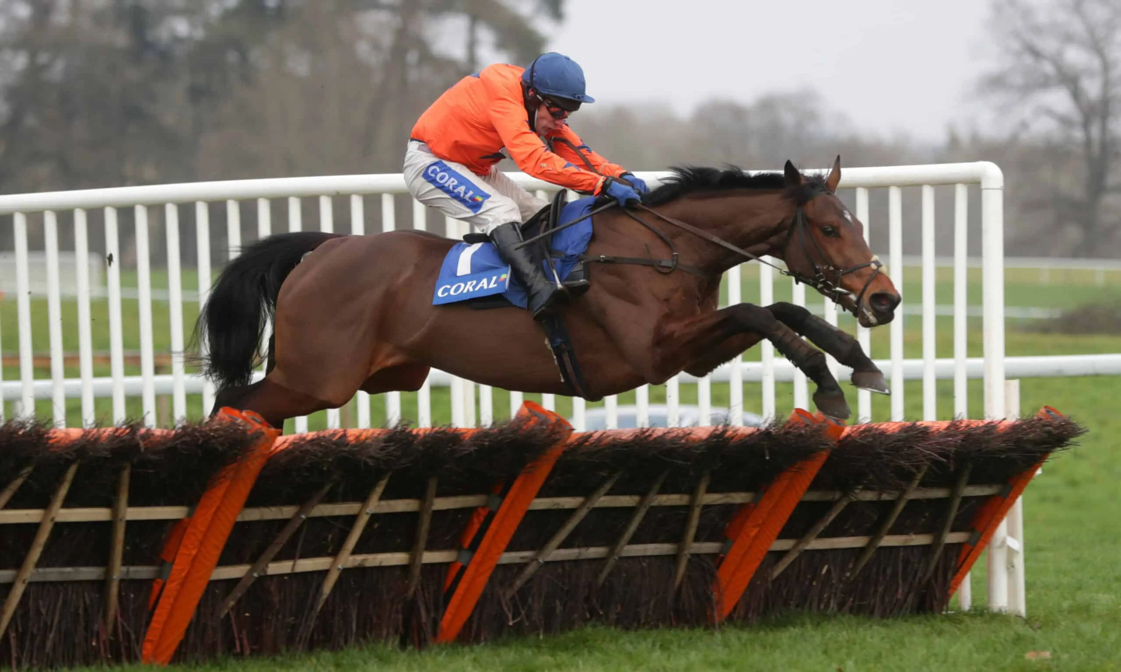 Adagio, Cheltenham