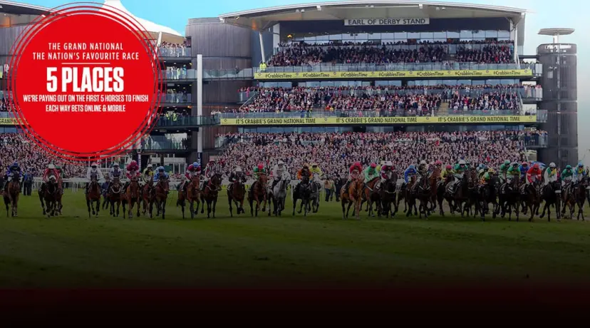 2017 Grand National - 5 places - Ladbrokes