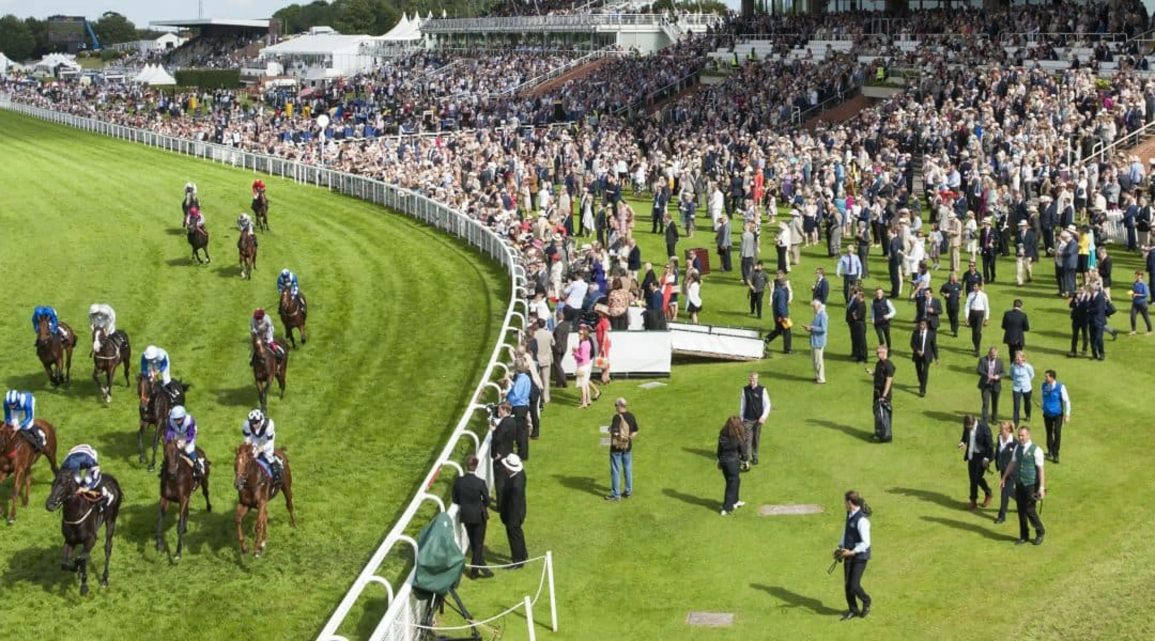 Glorious Goodwood