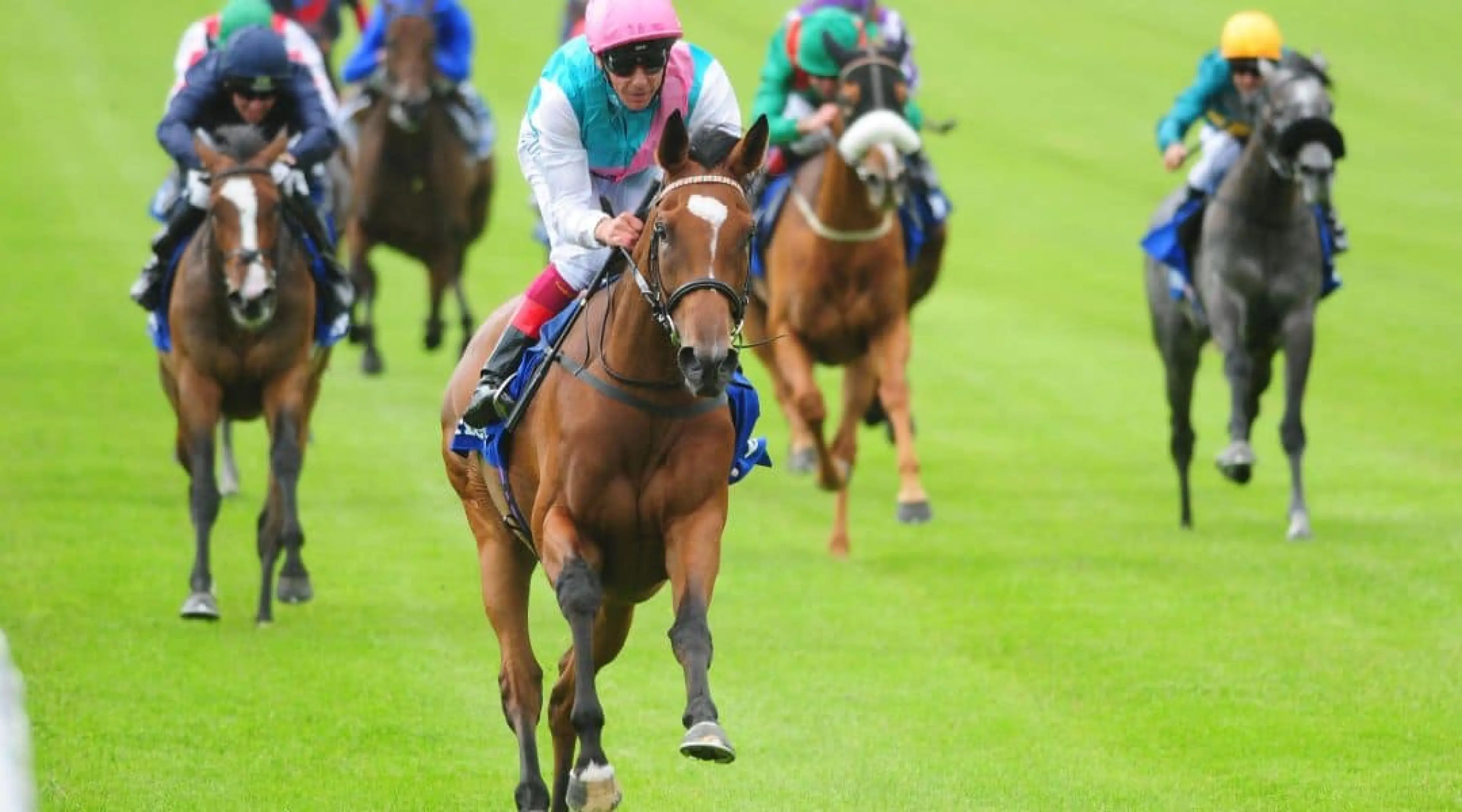 Enable Frankie Dettori