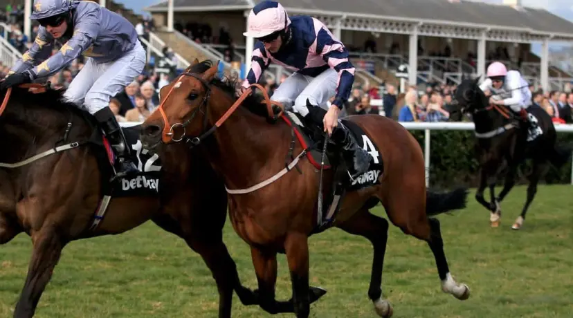 York odds