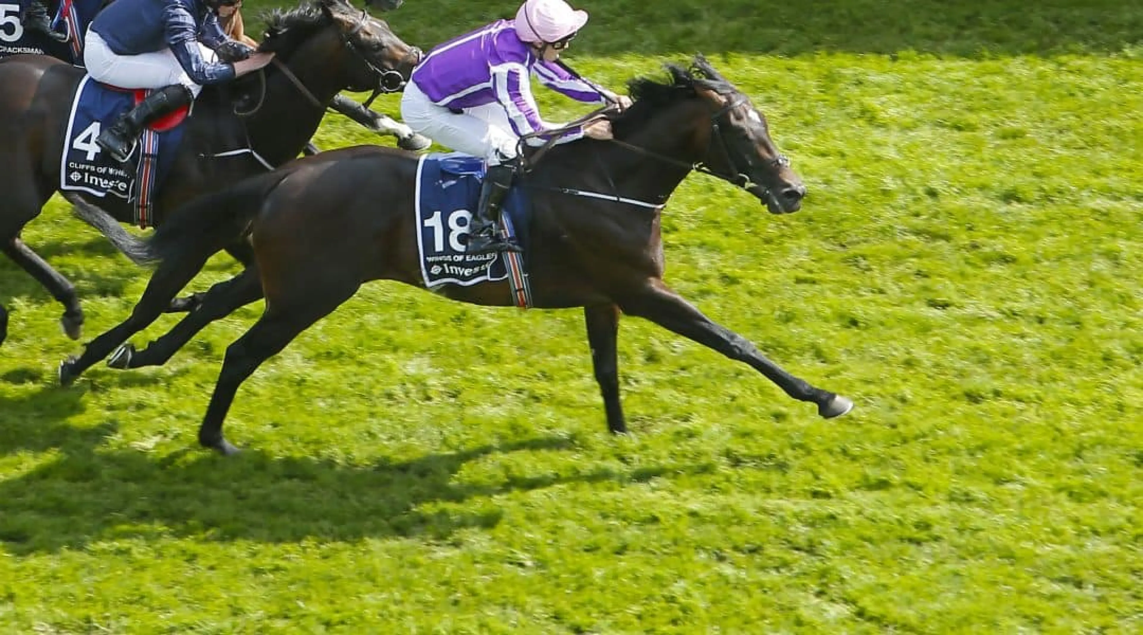 Irish Derby odds
