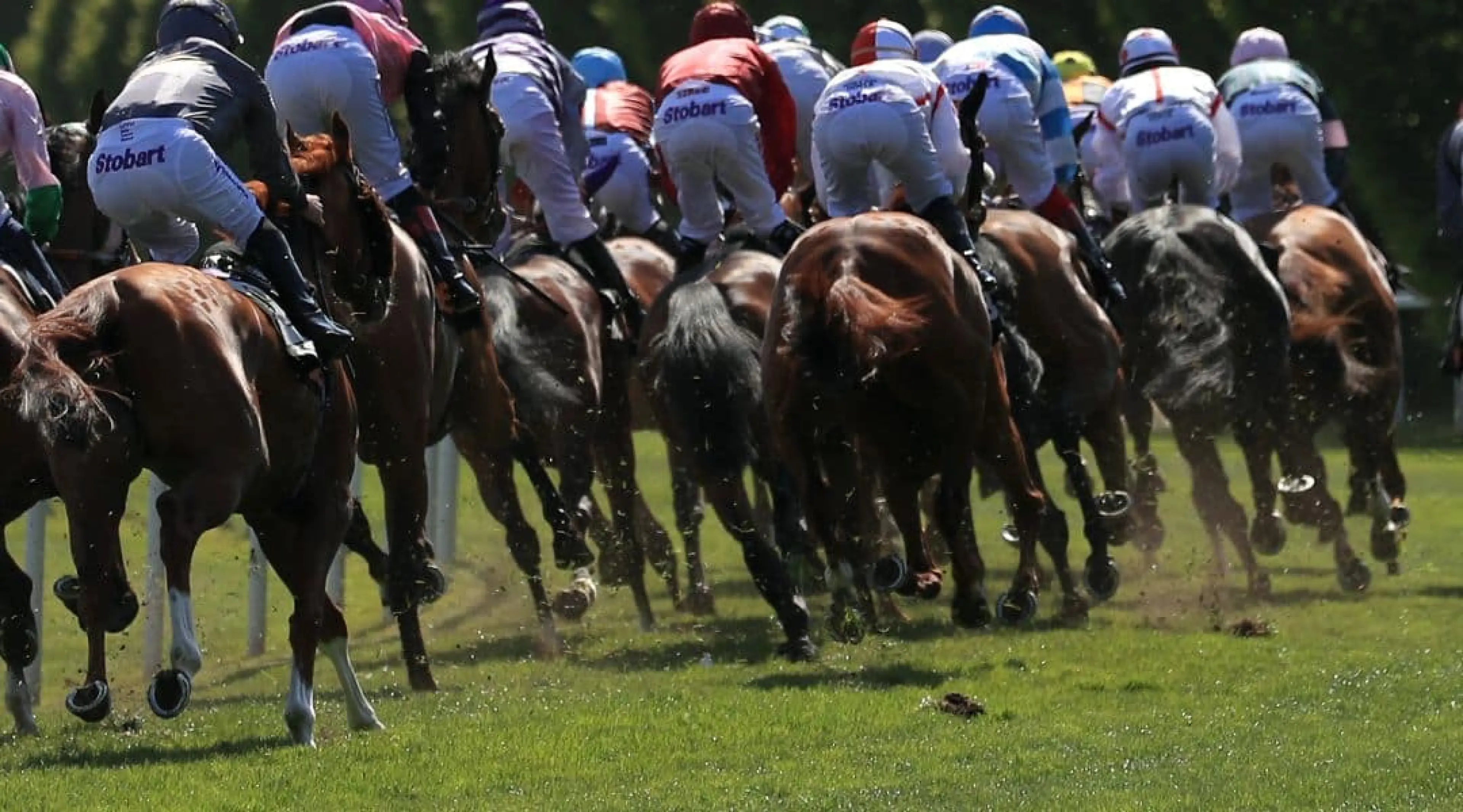 Horse Racing Generic