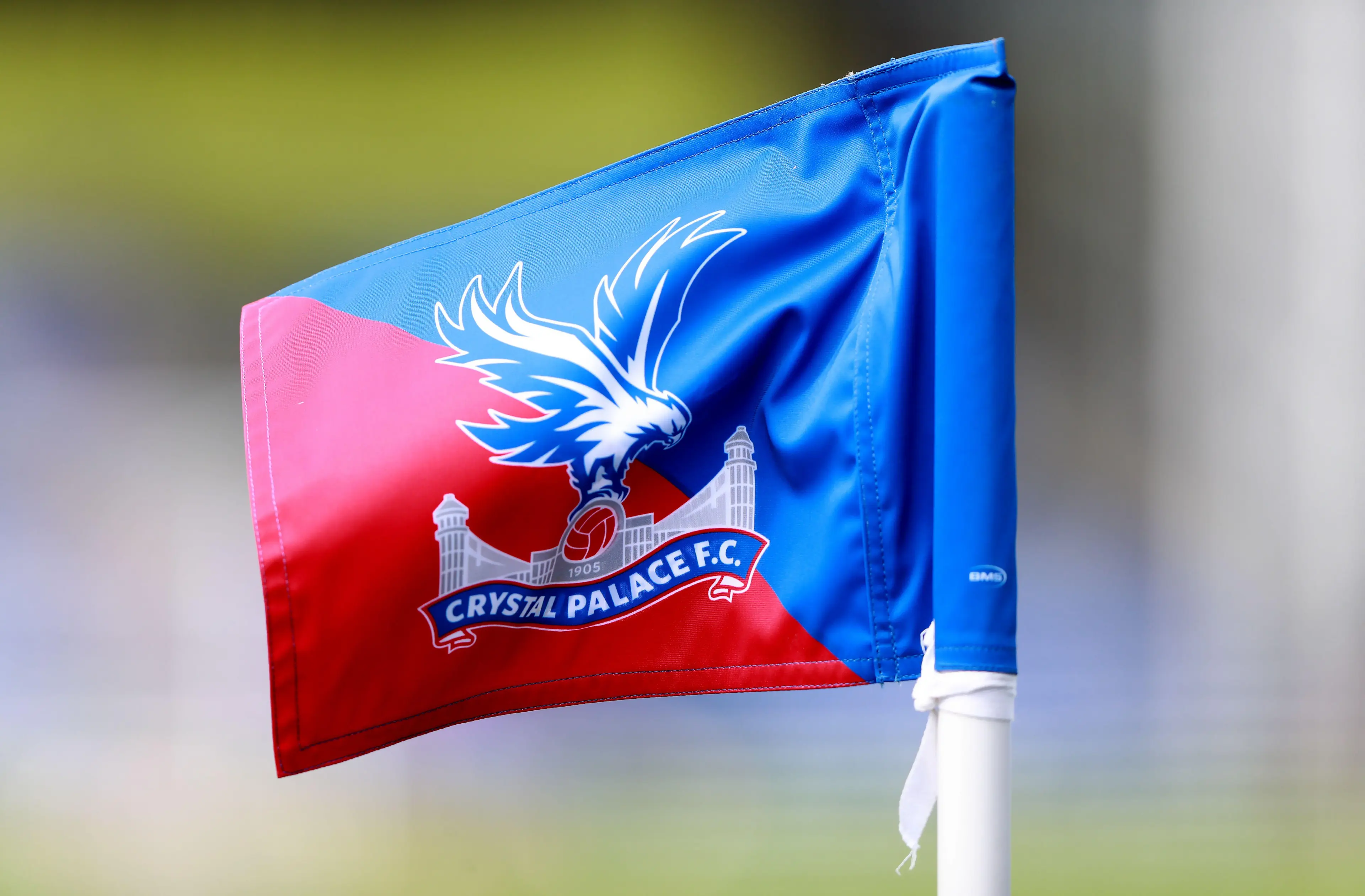 Crystal Palace FC flag