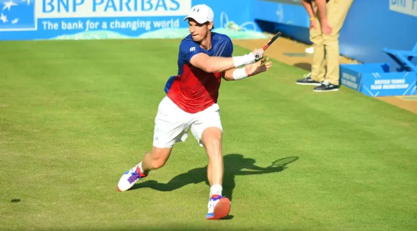 Andy Murray odds