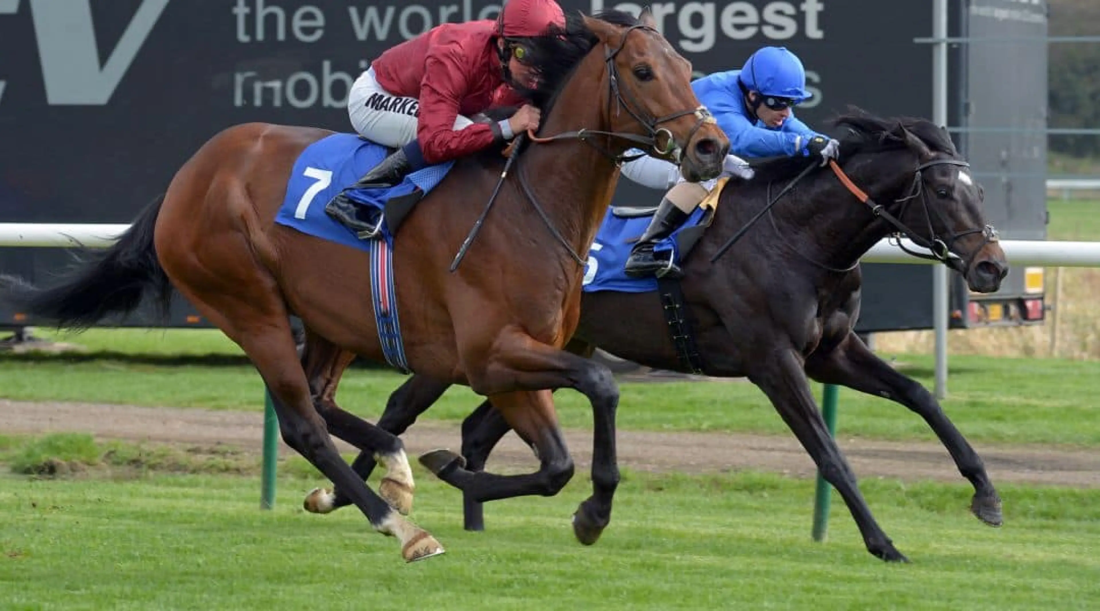 Sacred Act - John Gosden