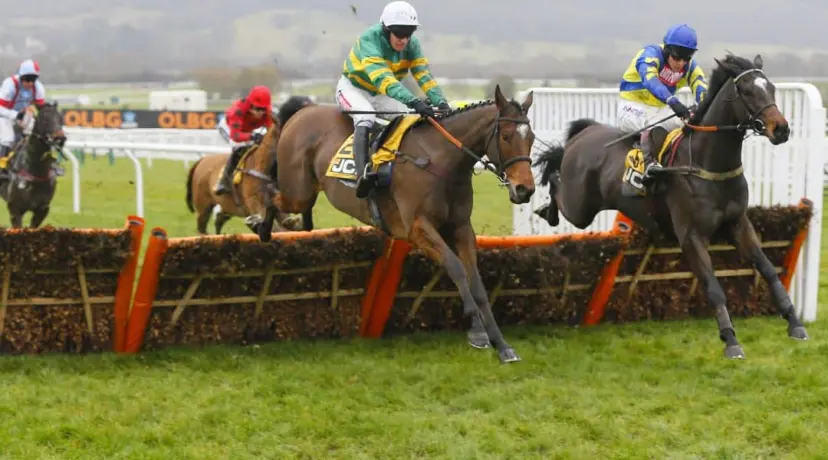 Defi Du Seuil - Triumph Hurdle odds