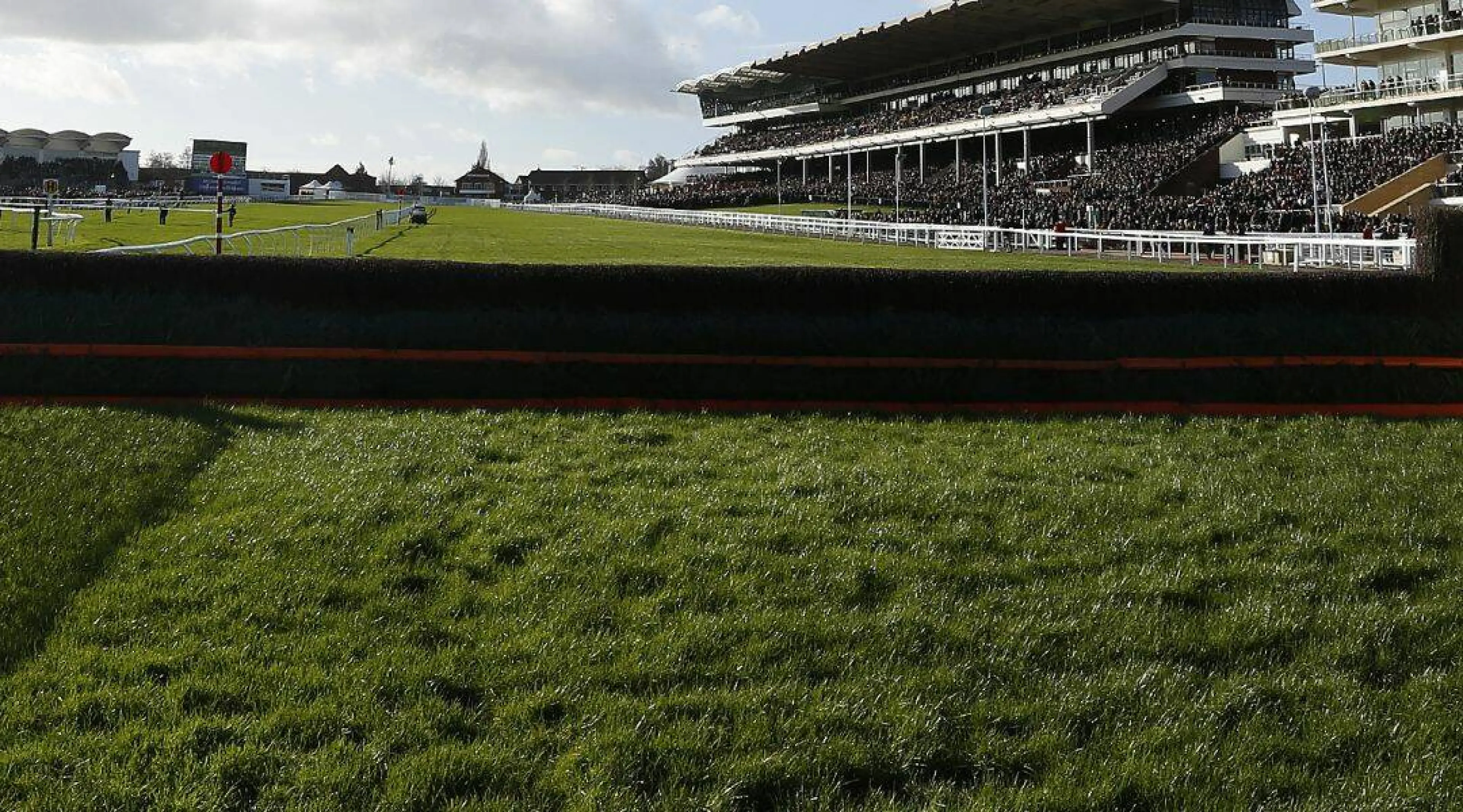 Cheltenham Festival - Ladbrokes odds