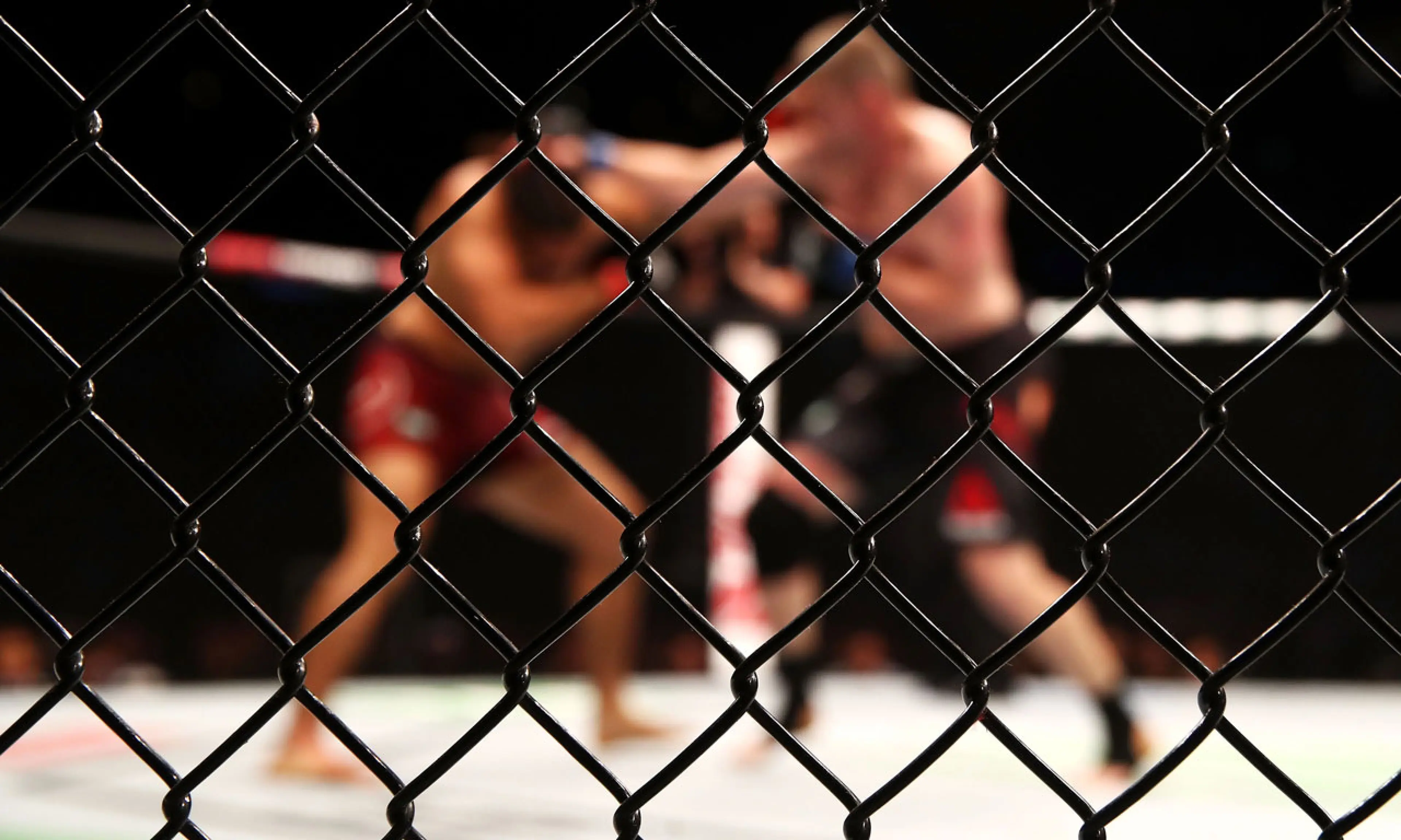 UFC