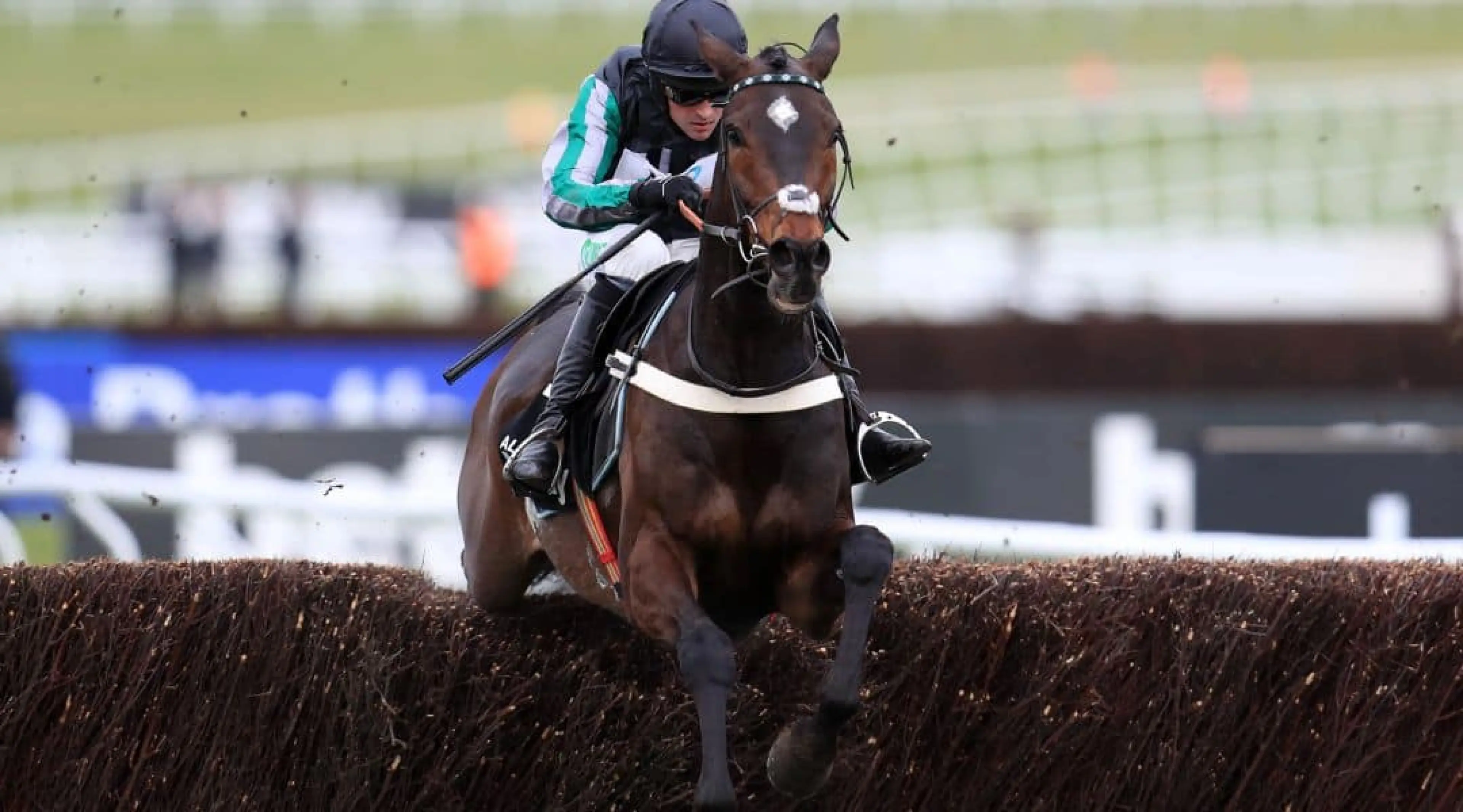 Altior, Champion Chase