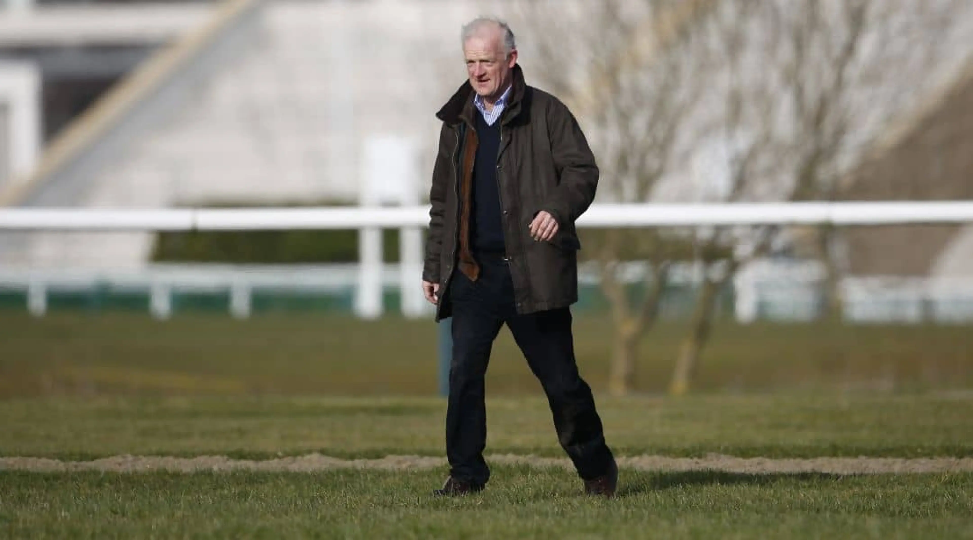 Willie Mullins - Cheltenham winners odds