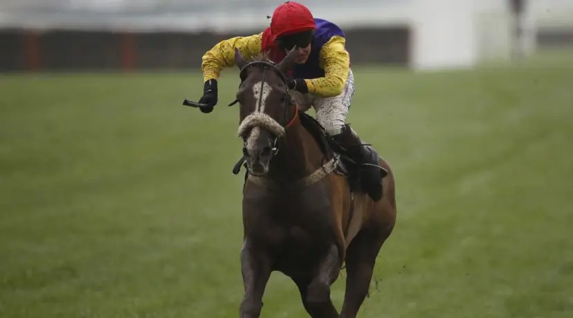 Native River - Cheltenham Gold Cup