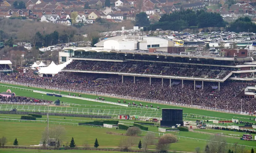 Cheltenham Festival, Cleeve Hill