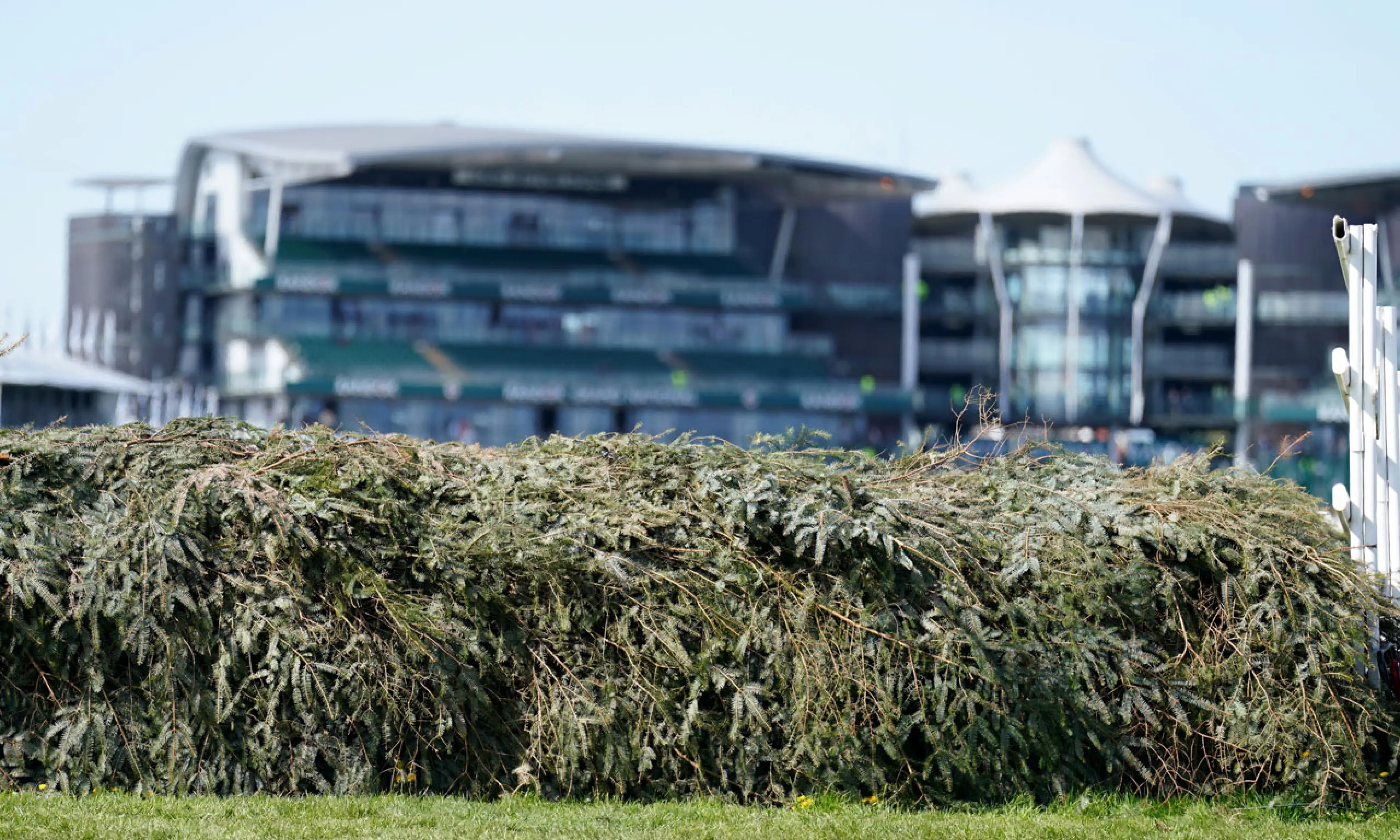 Grand National betting