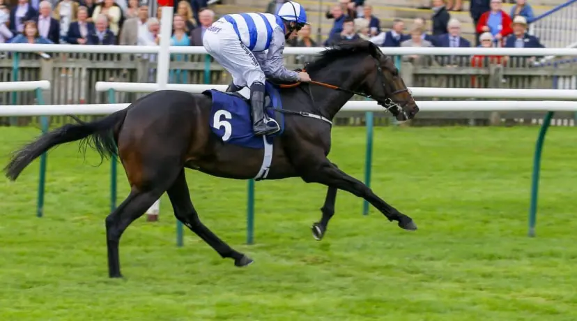 Eminent - Craven Stakes odds