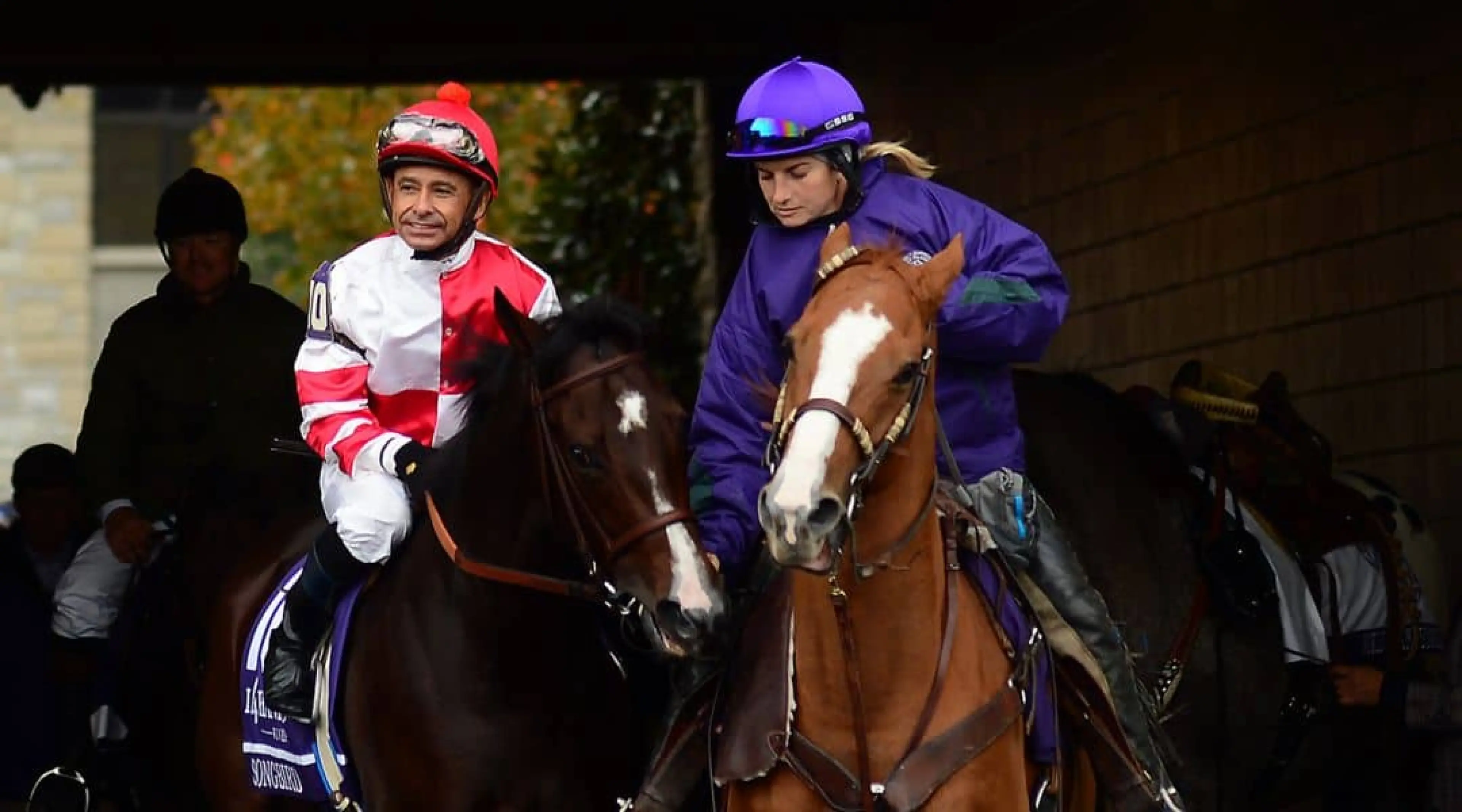 Breeders' Cup - Songbird