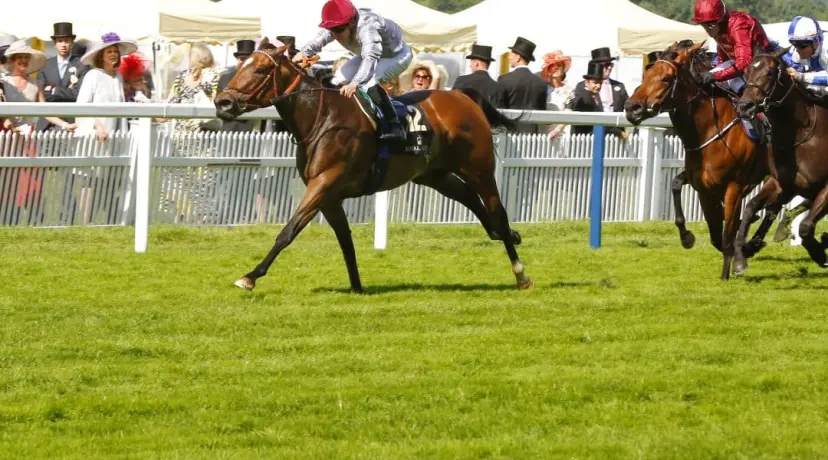 Royal Ascot odds
