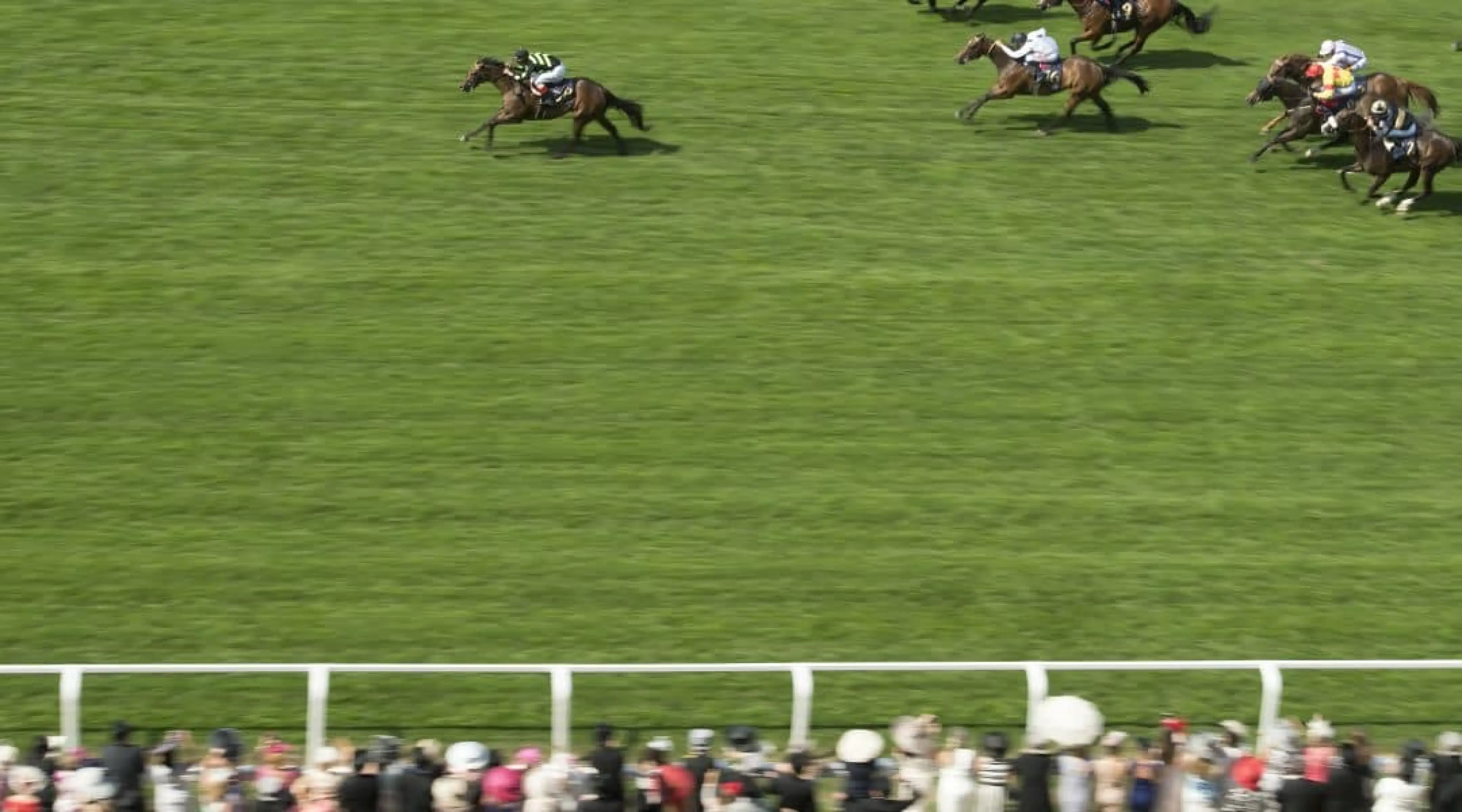 Lady Aurelia odds