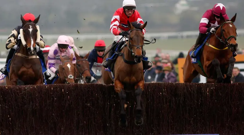 Ladbrokes Trophy odds, Ladbrokes Trophy stats