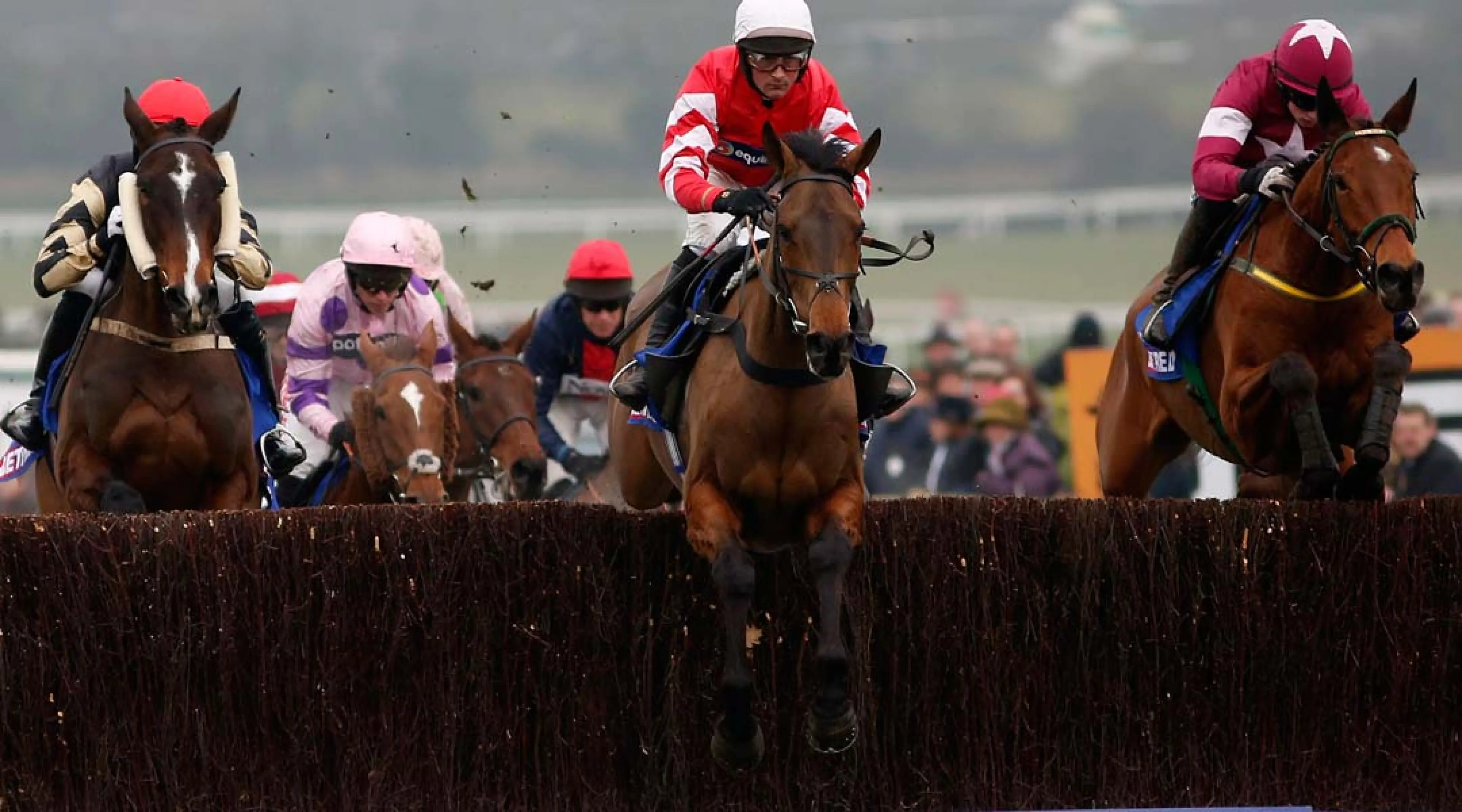 Ladbrokes Trophy odds, Ladbrokes Trophy stats