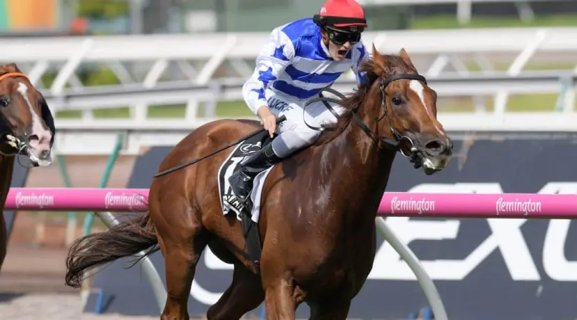 Redkirk Warrior