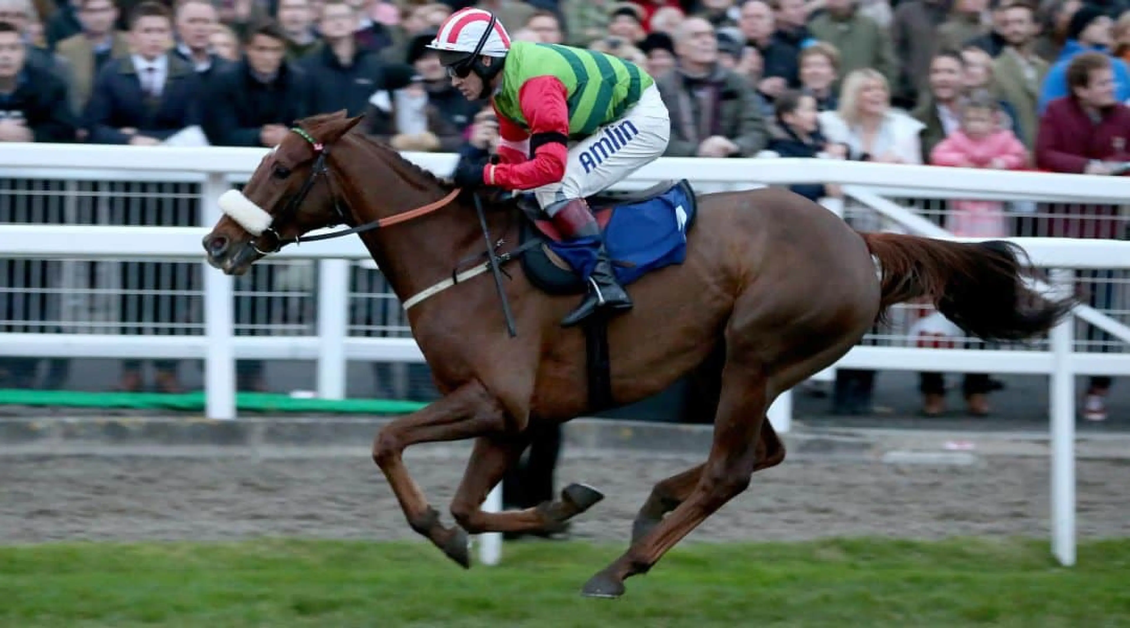 Definitly Red - Doncaster odds