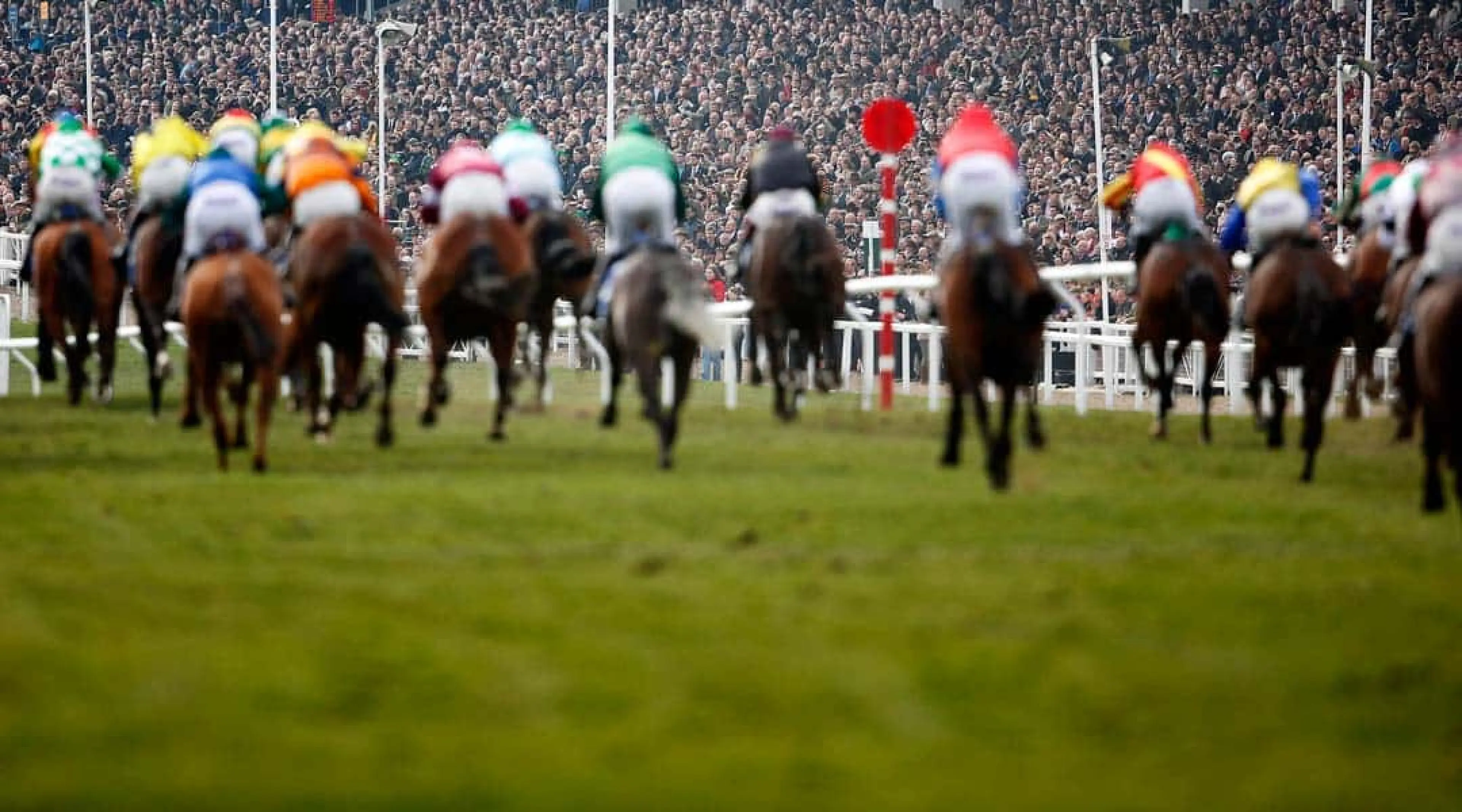 Cheltenham Festival 2025 Everything you need to know