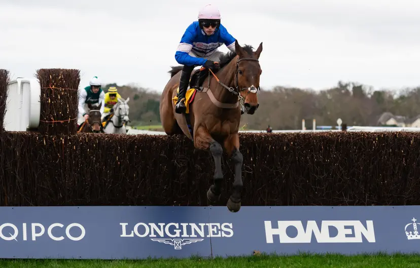 Ascot Racecourse, UK, Saturday 17th February 2024; Pic d'Orhy and jockey Harry Cobden win the Grade 1 Betfair Ascot Chase for trainer Paul Nicholls and owner Mr Johnny de la Hey