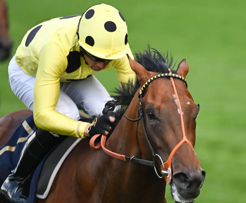 Ascot, UK. 18 June, 2024. Jockey Sean Levey rides Rosallion to the win in the St James's Palace Stakes on day one of Royal Ascot