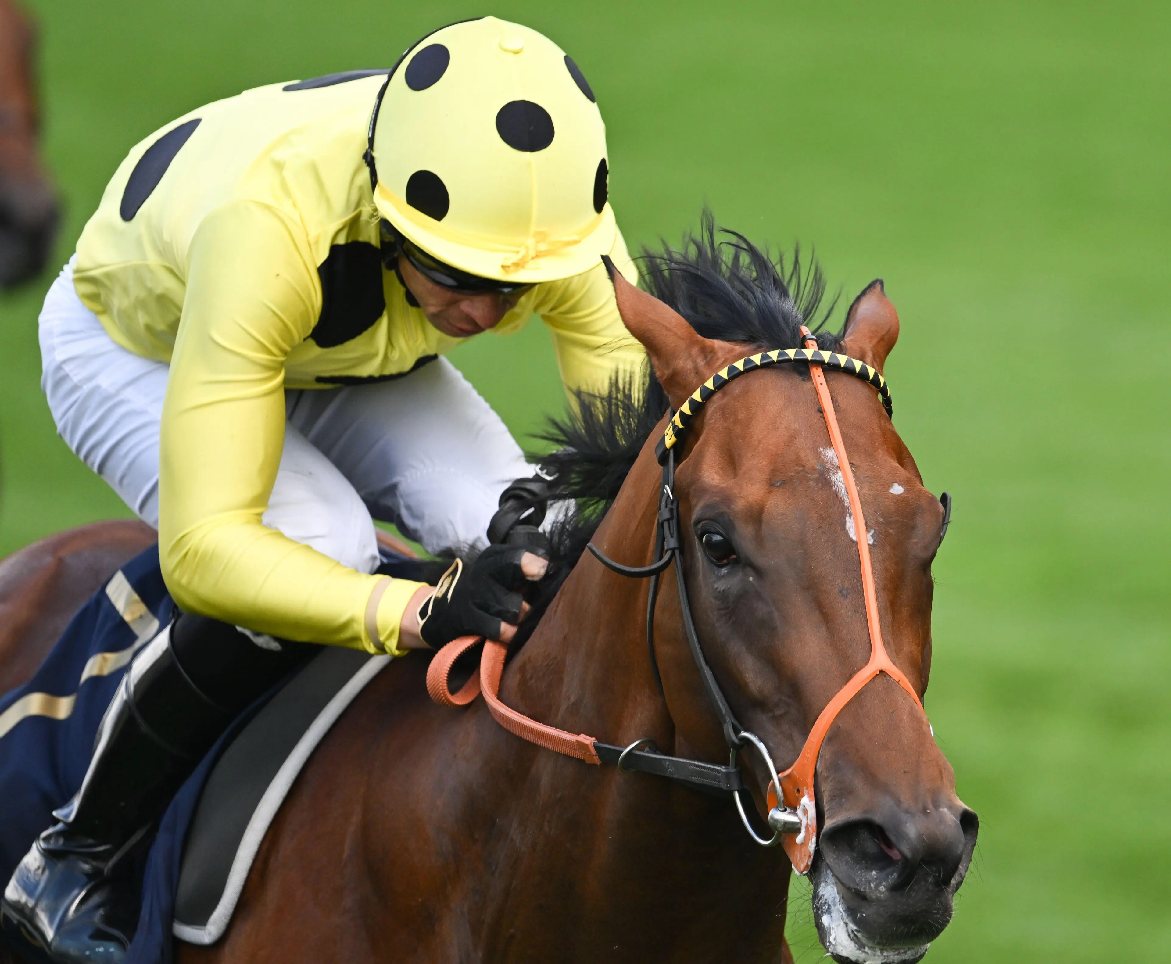 Ascot, UK. 18 June, 2024. Jockey Sean Levey rides Rosallion to the win in the St James's Palace Stakes on day one of Royal Ascot