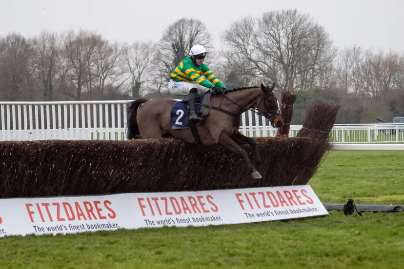 JOHNNYWHO ridden by jockey Jonjo O'Neill Jr clears the last in The Hampton Novices Steeple Chase at the Berkshire Winter Million Sunday at Royal Windsor Racecourse in Windsor, Berkshire