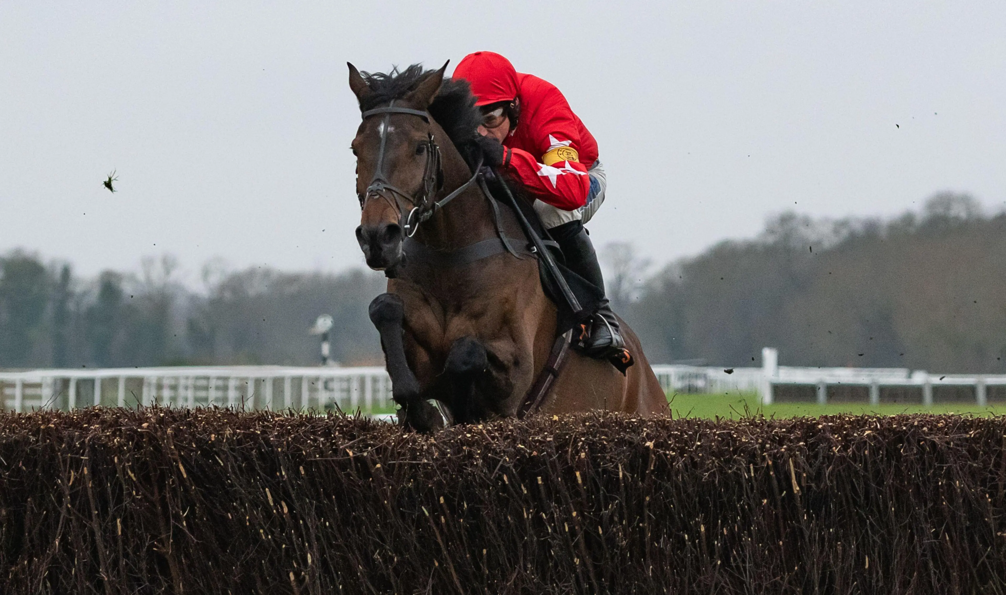 Windsor, UK, Sunday 19th January 2025; Protektorat and jockey Harry Skelton win the Fitzdares Fleur de Lys Chase for trainer Dan Skelton and owners Sir Alex Ferguson, Ged Mason, John Hales & Lisa Hales