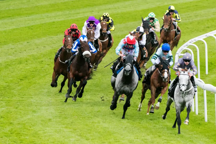 Boodles May Festival, Day 3 Chester Races. Chester, UK. 10th May 2018. Lightning quick race horses and jostling jockeys turn the final bend during the Boodles Diamond handicap stakes horse race during the Chester Cup final day race meeting at Chester races
