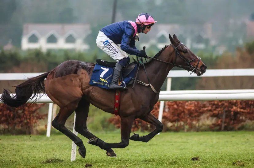 Kopek Des Bordes (centre) ridden by jockey Paul Townend on the way to winning the Tattersalls Ireland Novice Hurdle during day two of the Dublin Racing Festival 2025 at Leopardstown Racecourse in Dublin, Ireland