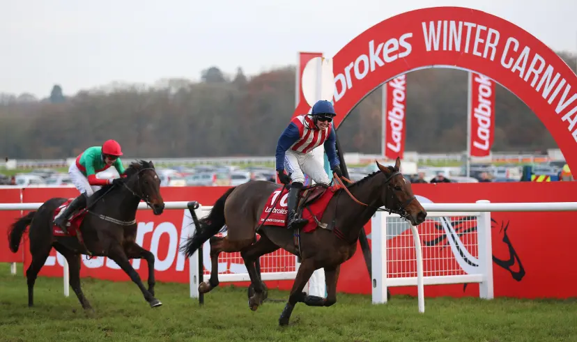 De Rasher Counter ridden by Ben Jones wins The Ladbrokes Trophy Steeple Chase at Newbury Racecourse