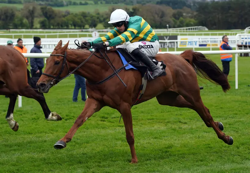 Dinoblue ridden by jockey Mark Walsh on their way to winning the Pigsback.com Handicap Chase during day three of the Punchestown Festival at Punchestown Racecourse in County Kildare, Ireland. Picture date: Thursday April 27, 2023