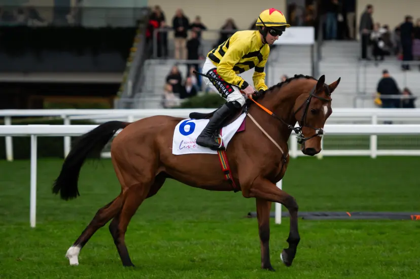 Amirite and Mr P. O'Connor head out to the racecourse at Ascot Racecourse, Saturday 2nd November 2024