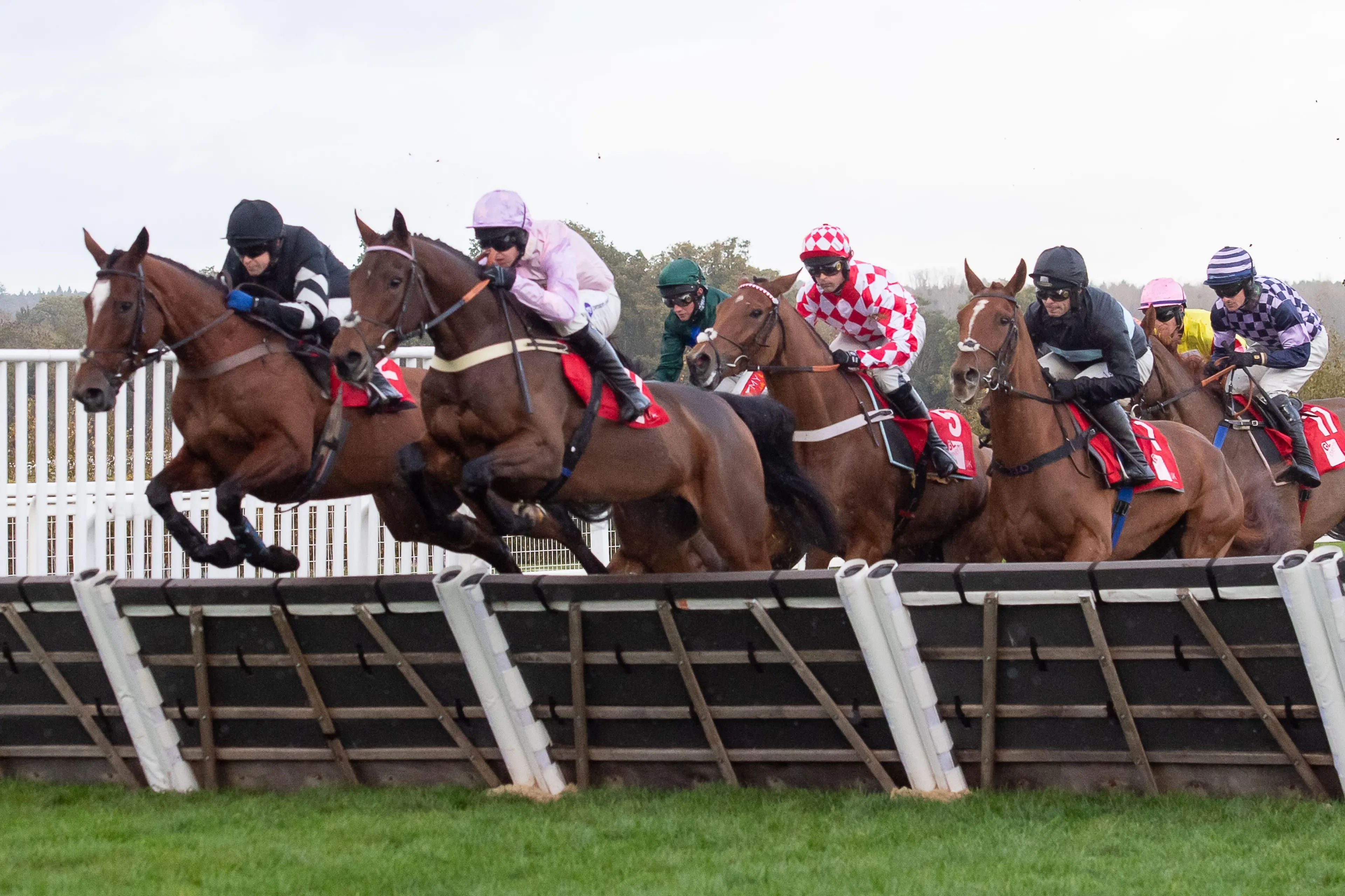 Ascot, Berkshire, UK. 4th November, 2023. Horses Mighty Moth (L) and TellHerTheName (R) clear a hurdle in the GL Events Novices' Hurdle Race (Class 3) (GBB Race) at Ascot Racecourse at the Fireworks Spectacular Family Raceday