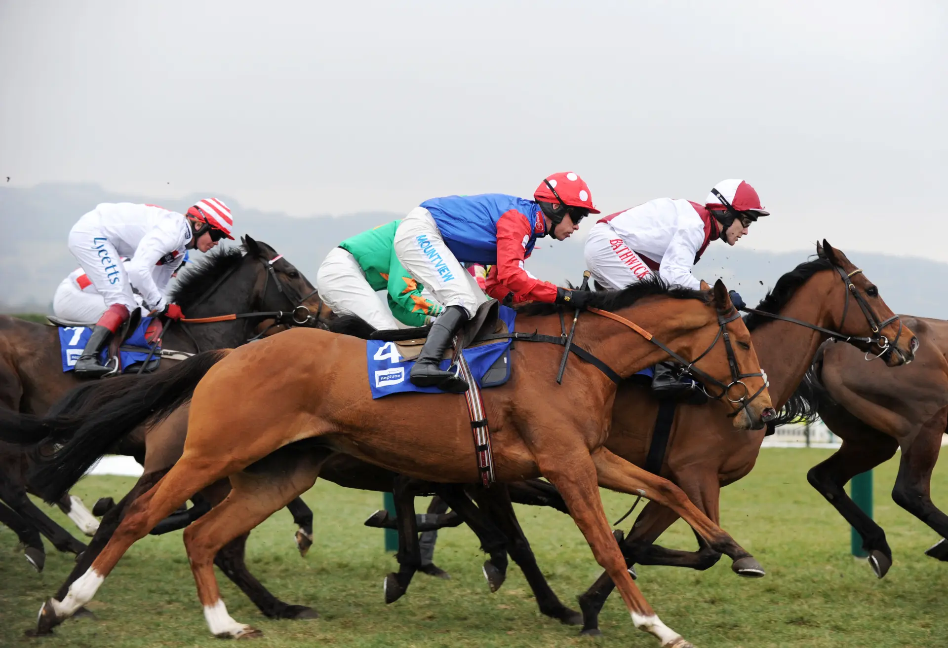 Cheltenham Festival 2025 Everything you need to know