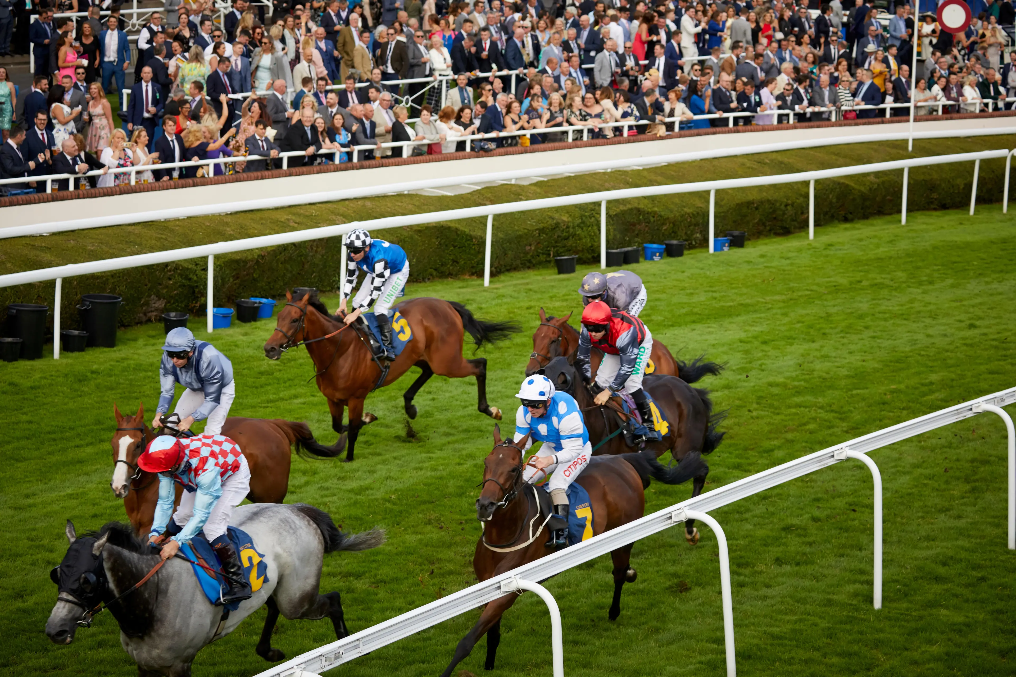 TOGETHER night at Chester Racecourse